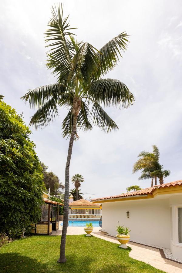 Balcon Del Teide Villa La Orotava Ngoại thất bức ảnh